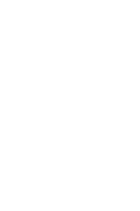 logo dauphins section paloise vert